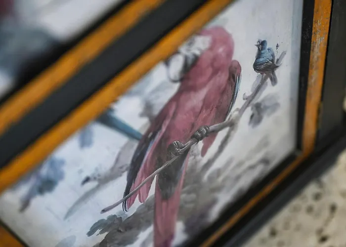 Ta Benna Ghajnsielem